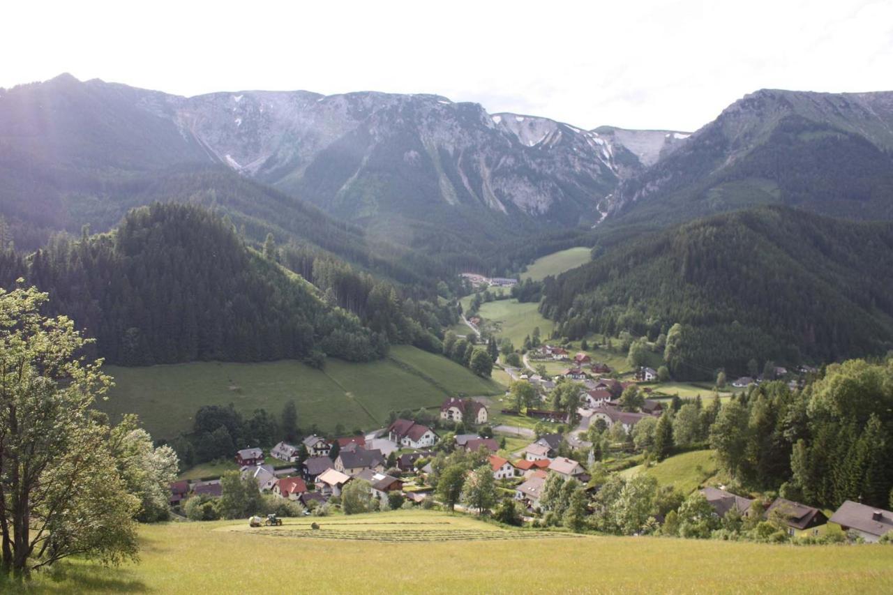 Altenbergerhof Neuberg an der Muerz Exterior photo